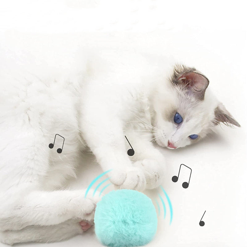 Cat Toy Ball with Sounds