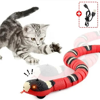 Interactive Cat Toy