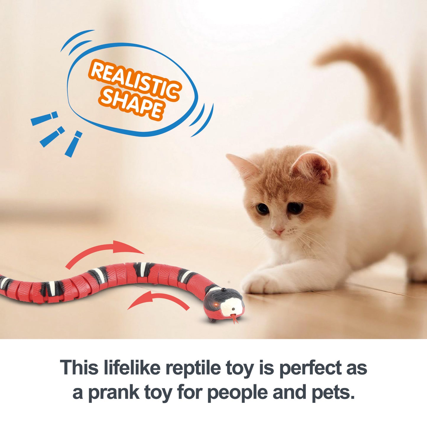 Interactive Cat Toy